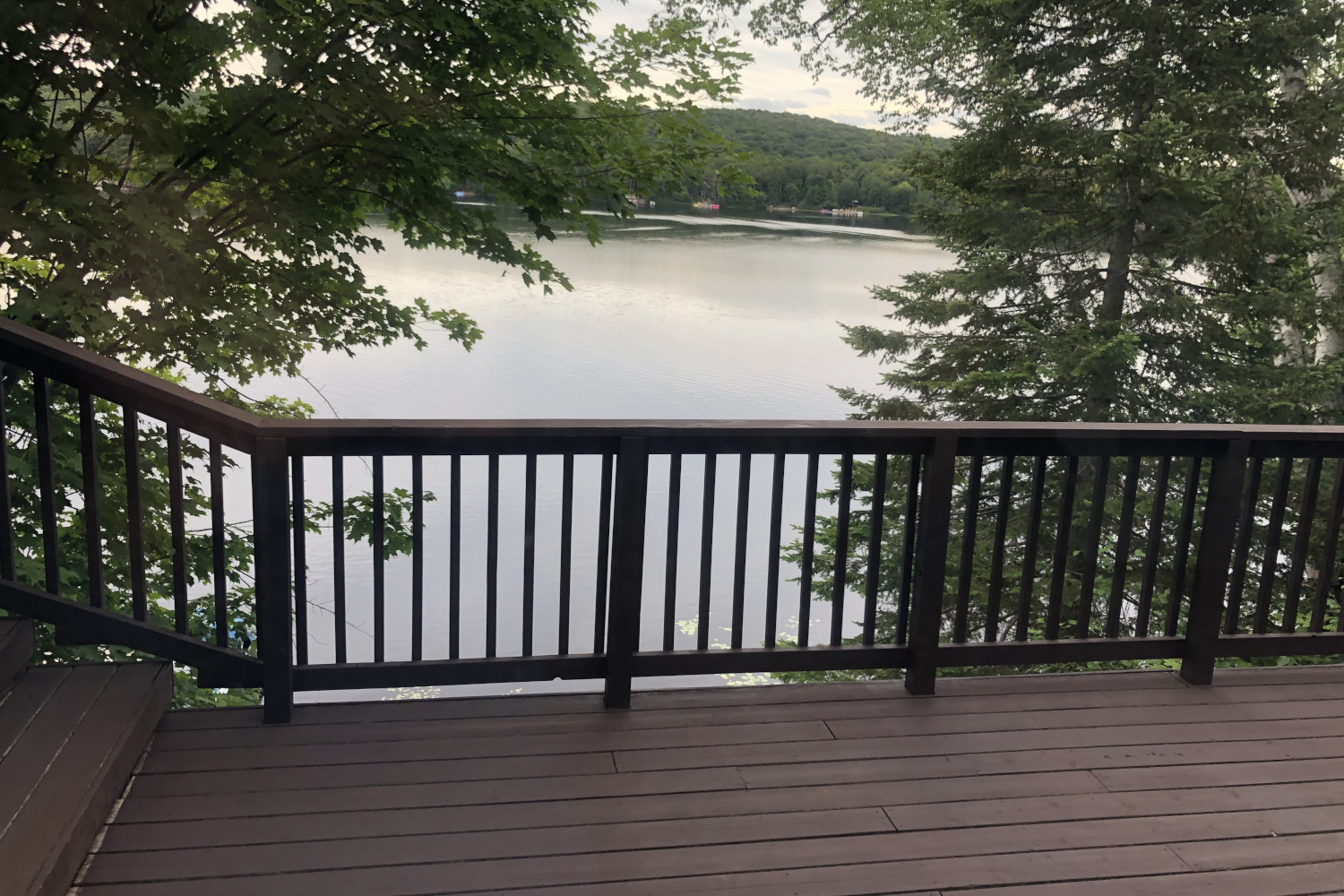 Deck & Fence Staining
